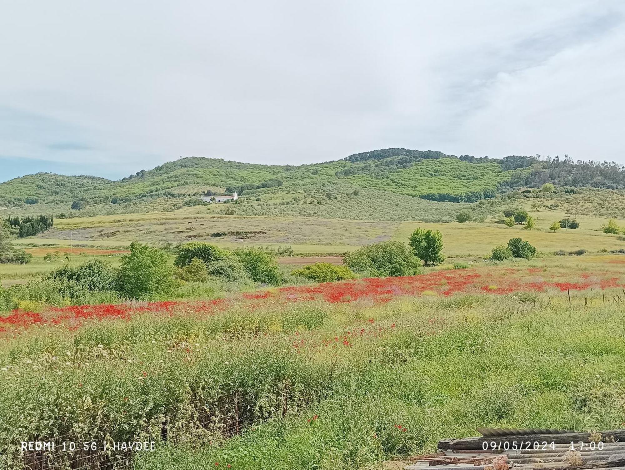 Гостьовий будинок Casa El Azahin Касалья-де-ла-Сьєрра Номер фото